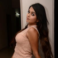 Sheena Shahabadi at Nuvve Naa Bangaram First Look Release Photos | Picture 599598